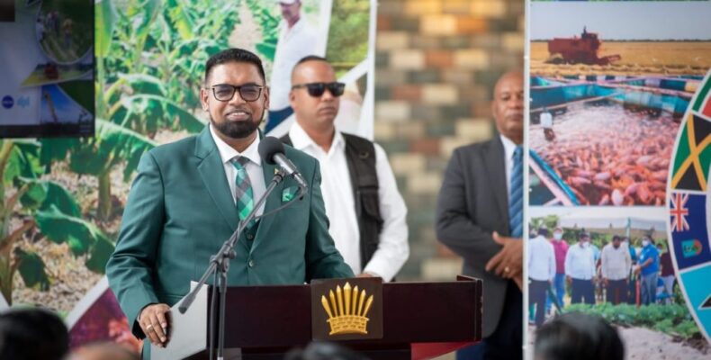 ‘Appetite’ obvious but financing needed for region’s food security – Pres. Ali