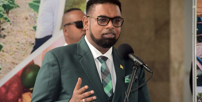 President Ali calls for more support ahead of Agriculture Investment Forum