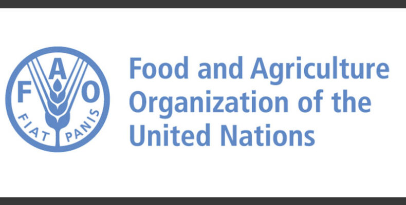 War pushes world food prices to highest level ever