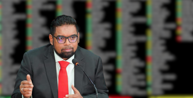 Guyana abstained on vote to remove Russia from UN Human Rights Council over absence of violation report -Pres. Ali