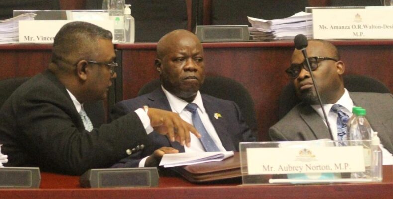 Norton takes over as Opposition Leader; Promises increased scrutiny of Government