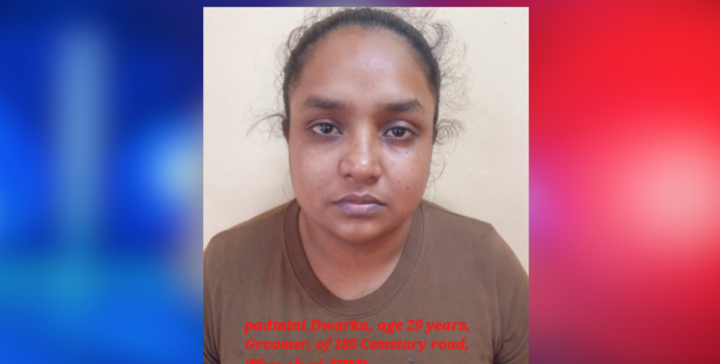 Woman on $150,00 bail for attempted murder of 4-year-old