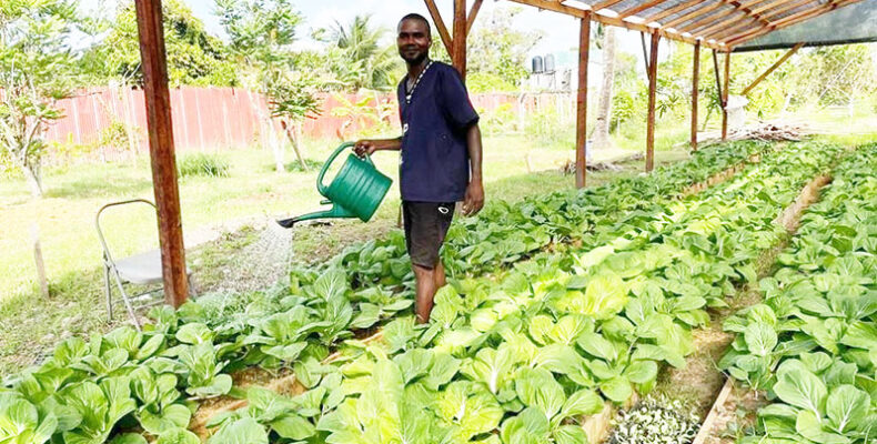 Prison service’s agriculture programme picks up steam