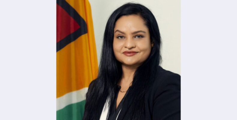 Five-year strategic plan to strengthen mechanisms for gender equality