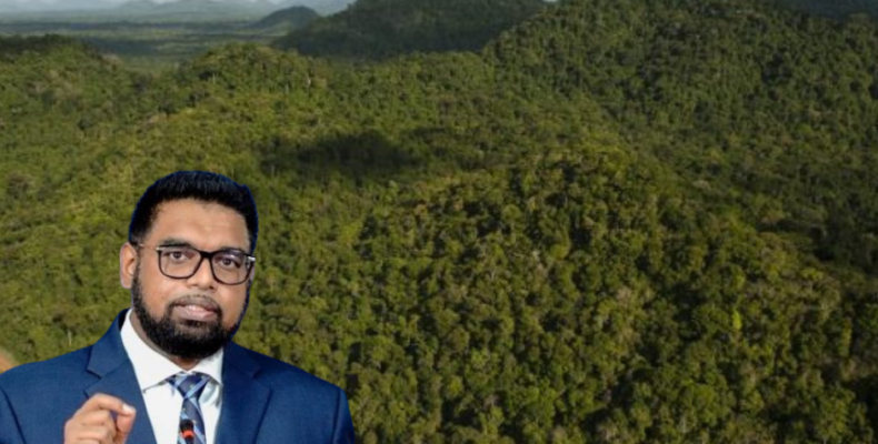 ‘Critically important to invest in low carbon solutions’ – Pres. Ali