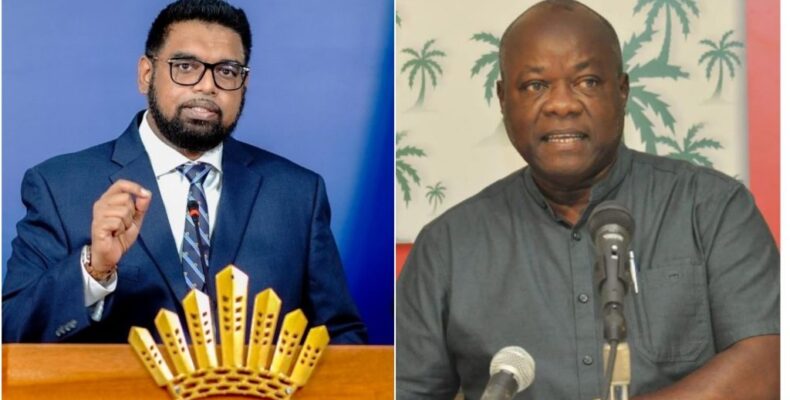 Issues with gov’t have to be raised at ‘source of power’, not Parliament – Norton
