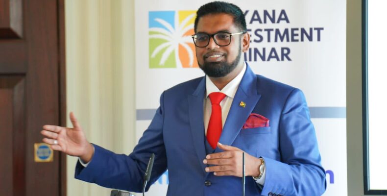 President Ali lures UK investors with promise of 50% cut in energy costs by 2025