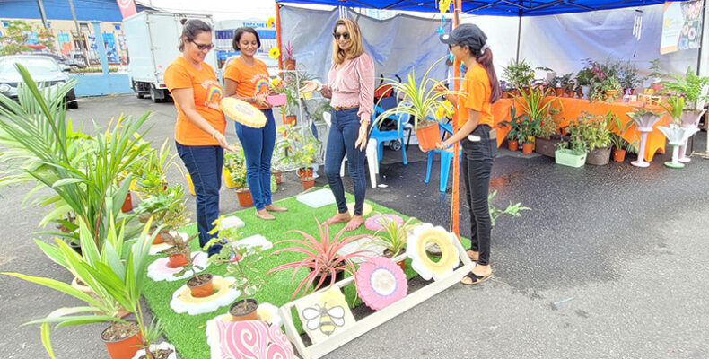 Sunshine Garden Centre aims to beautify gardens, spaces