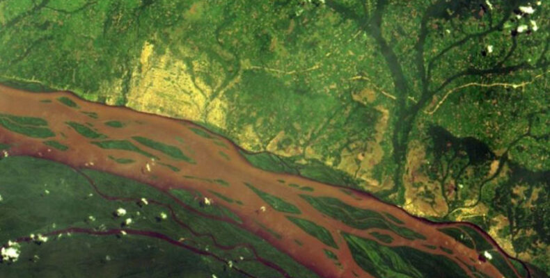 Global deforestation slowing but tropical rainforests remain under threat