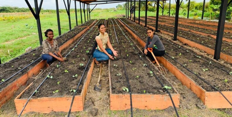 5,000 vulnerable farmers targeted in new CA$20M training, support project 