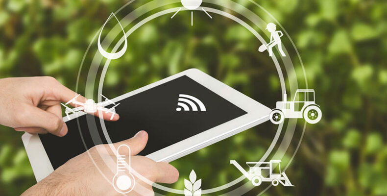 IICA announces 15 startups offering digital solutions for agriculture in Americas