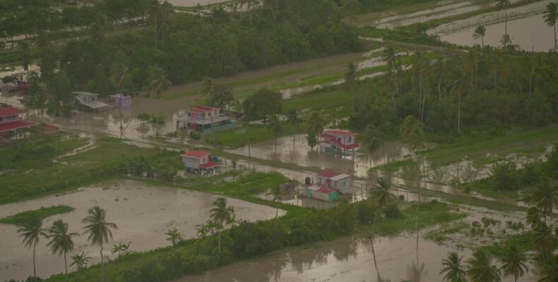 As Guyana braces for heavy rainfall, Mustapha worries about late rice harvests
