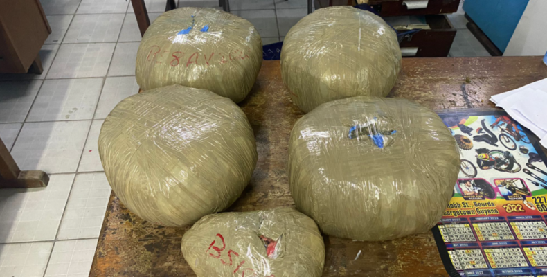 Men busted in Meadowbank with 18lbs marijuana