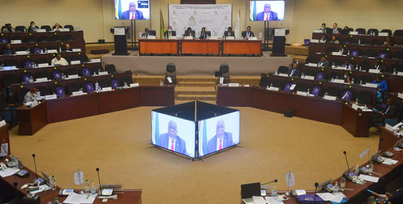 Parliamentary procedure the foundation for upholding democracy