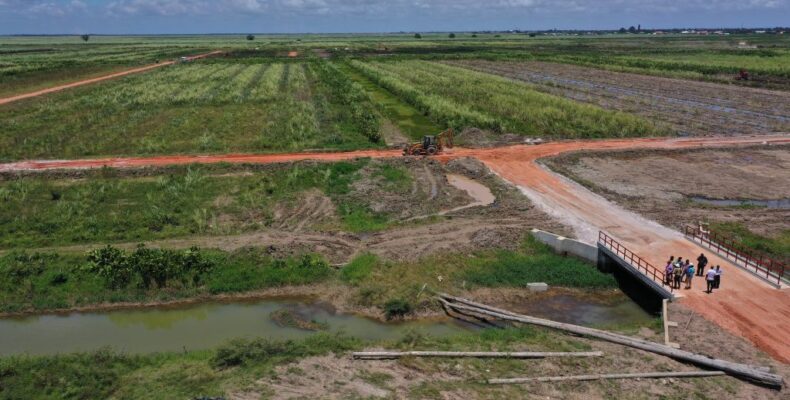 Over 11,000 house lots distributed in past 2 years -Housing Minister tells National Assembly
