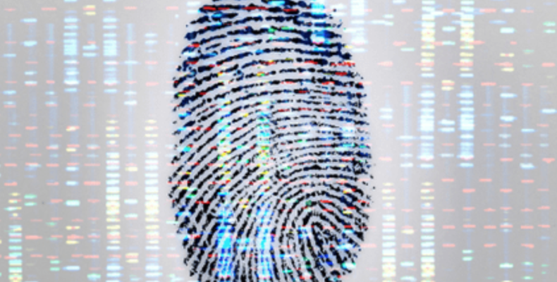 AFC backs biometrics verification for voting