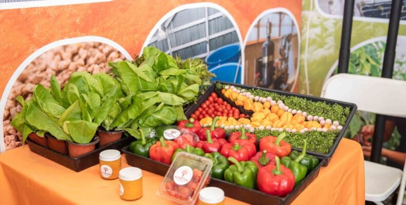 Guyana & Dominica to push food production cooperation