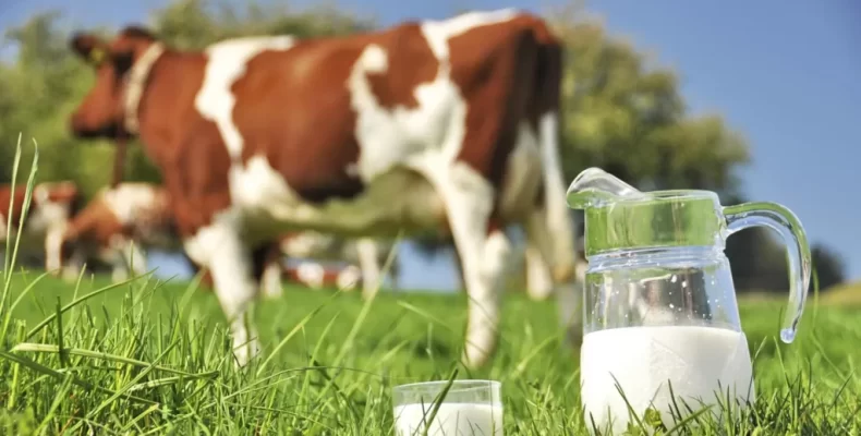 DDL to process fresh cow milk under TOPCO brand for local market in next two years