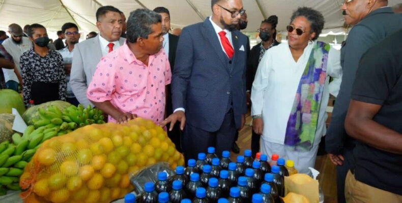 Access to farmlands for Barbados as relations deepen with Guyana