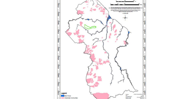 Proposed US$1M timber operation to create over 100 jobs