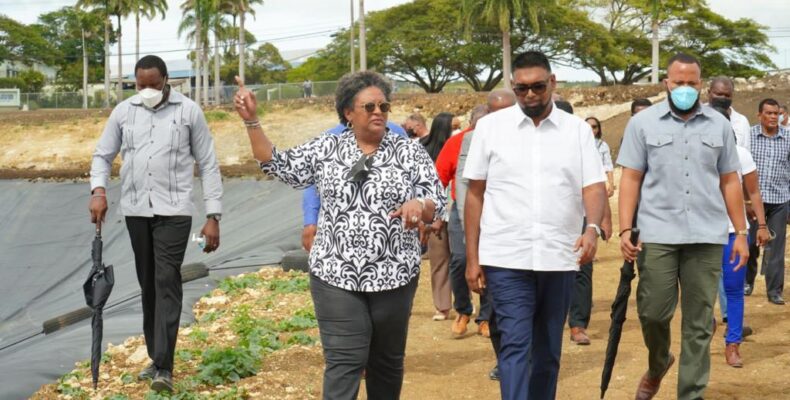 No more expensive ‘frozen imports’ with new Guyana/ B’dos seafood plan
