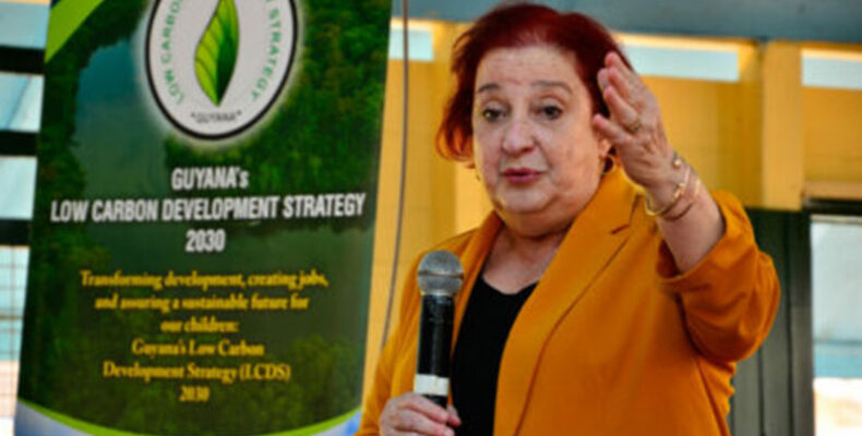 ‘Mixed energy approach’ to tackle climate change issues