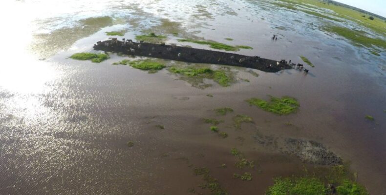 Emergency measures to ease flooding in Cookrite Savannah – Agri Ministry
