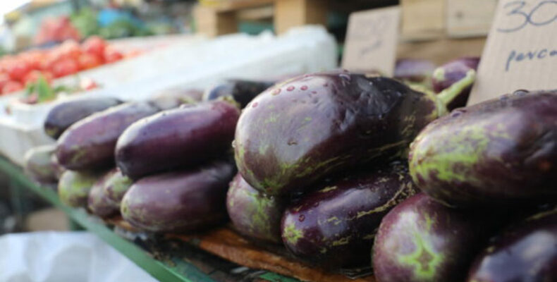 Farm-to-market woes to soon be over for Berbice River farmers