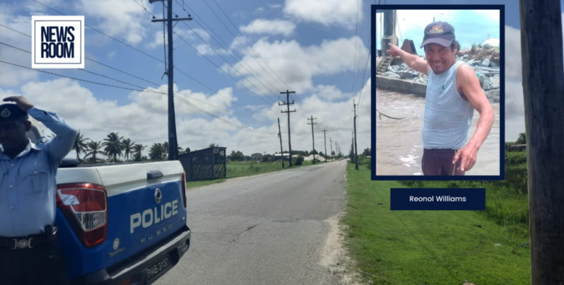 Owner of car that struck down Williams led cops to body