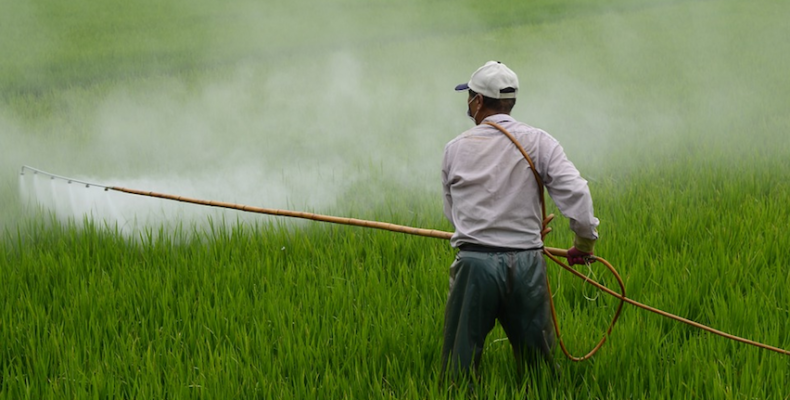 Guyana to update laws to ensure safer production, packaging of food – IICA