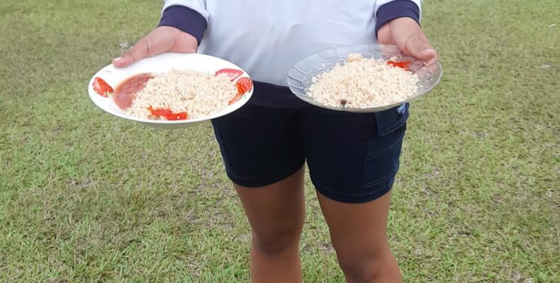 Software to tackle food shortage at dorms – Manickchand