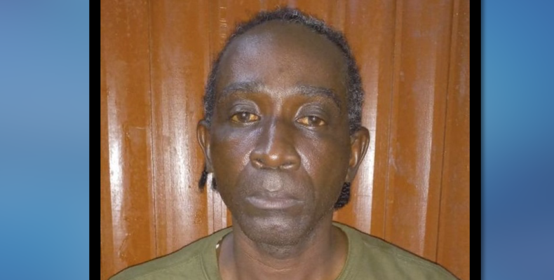 Accused in hit and dump accident remanded to jail after slapped with 6 charges