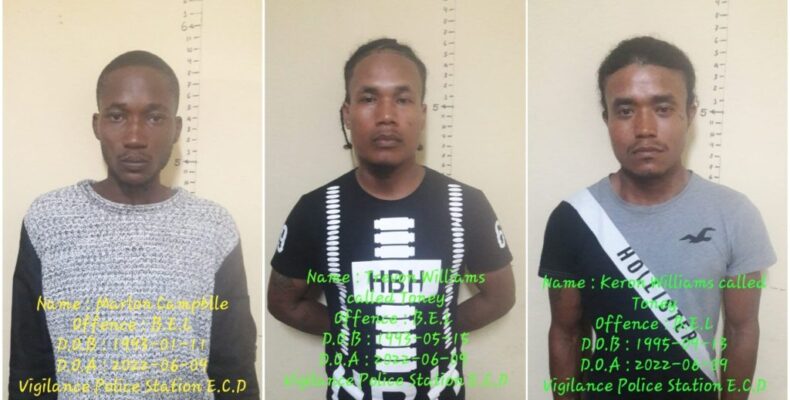 Three charged with theft of $5.4 million in braids and weaves