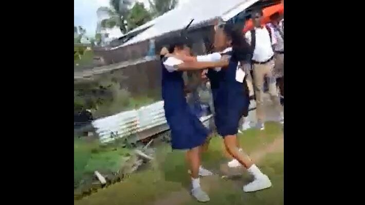 Girls suspended after fighting at school