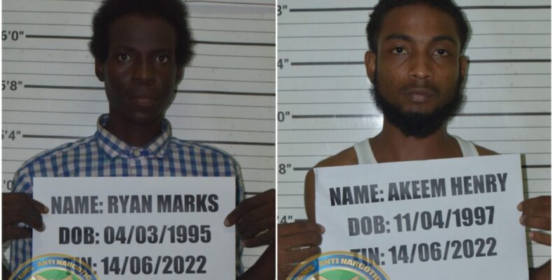 Four years jail, $2.3M fine for 6lbs of ganja