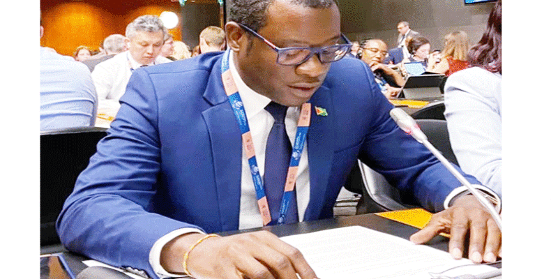 Minister Todd tells Geneva trade meeting of challenges to small economies
