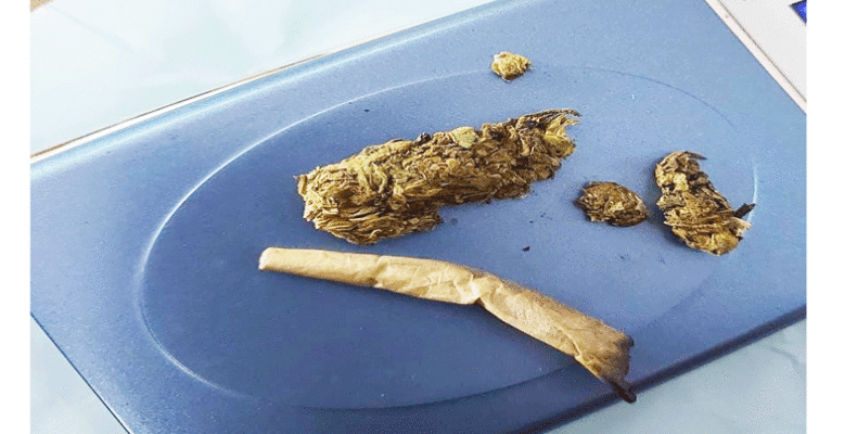 ‘Suspicious’ duo nabbed with 3.4 grams of ‘ganja’ at Vergenoegen