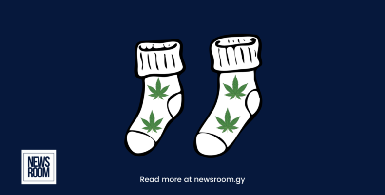 Student, 12, found with ganja in socks
