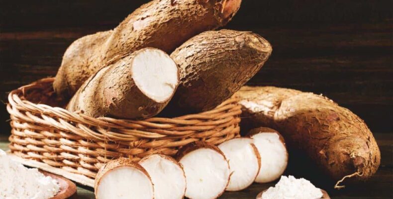Mustapha encourages planting of root crops, promises to find markets