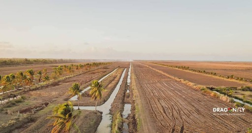 Beyond videography, local company leveraging drone technology for development