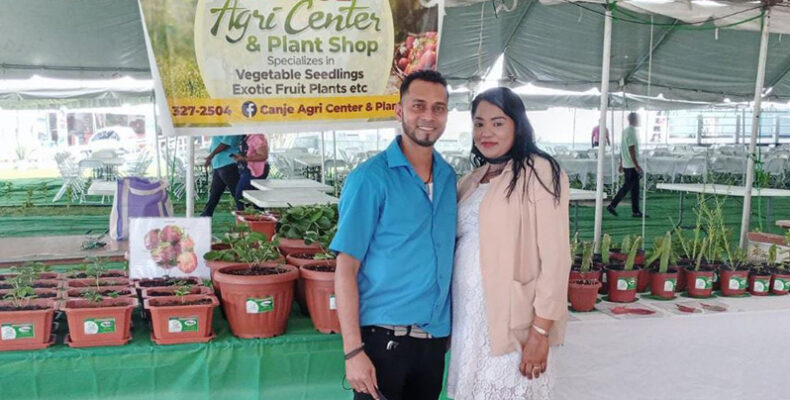 Berbice couple reaps benefit of growing strawberries, other fruits