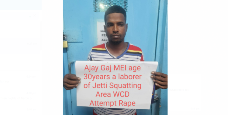 Fisherman who attacked, attempted to rape woman remanded