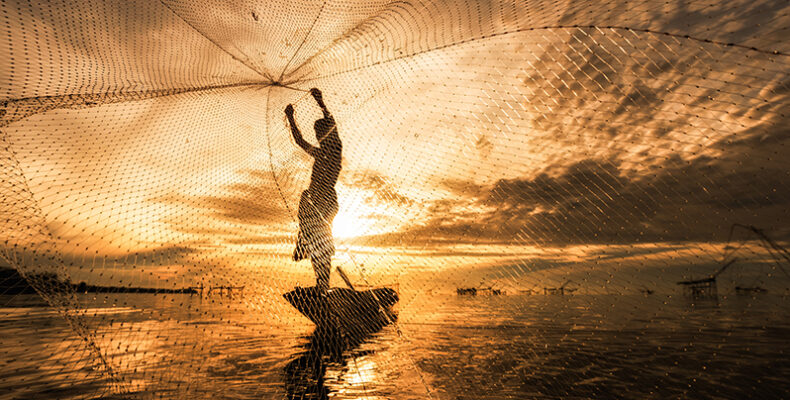 Record fisheries, aquaculture production contributes significantly to global food security