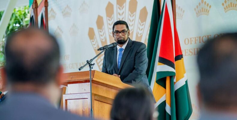 Energy project not just about cheap electricity or cooking gas but improving quality of life – Pres. Ali