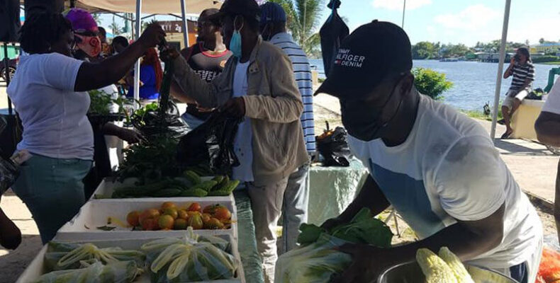 40 single mothers could benefit from Region 10 gardening initiative