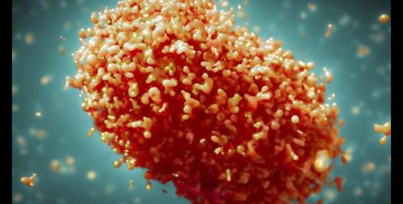 Bahamas investigating second Monkeypox virus case