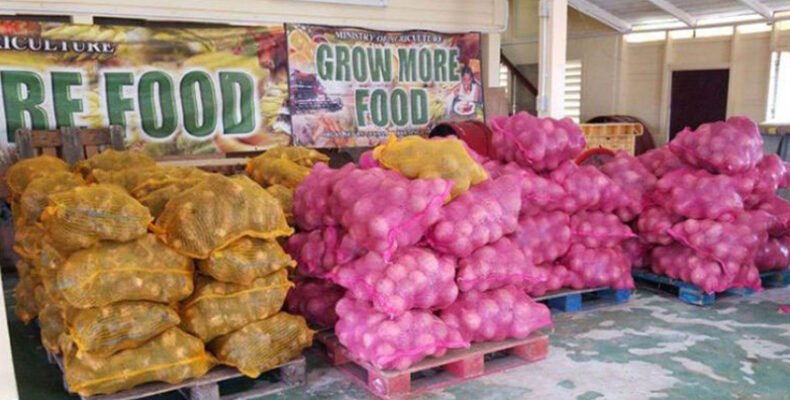 Guyana increases reach in US market