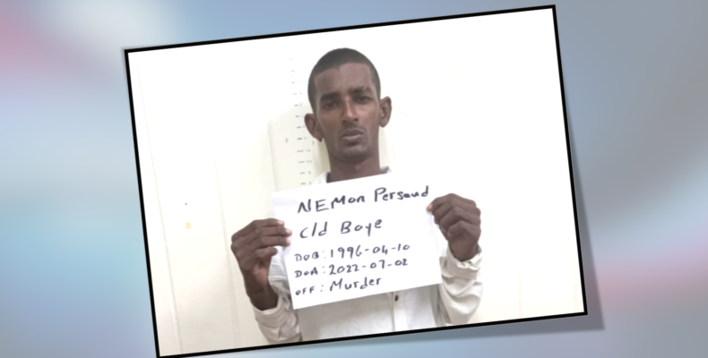 Mon Repos labourer remanded for brutal murder of 86-year-old woman