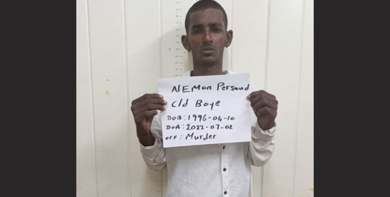 Man remanded for allegedly murdering Mon Repos pensioner