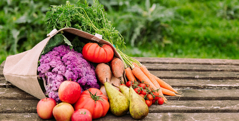 UN report: Global hunger numbers rose to as many as 828 million in 2021